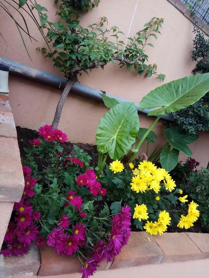 Appartamento In Zona Residenziale Orosei 0*,